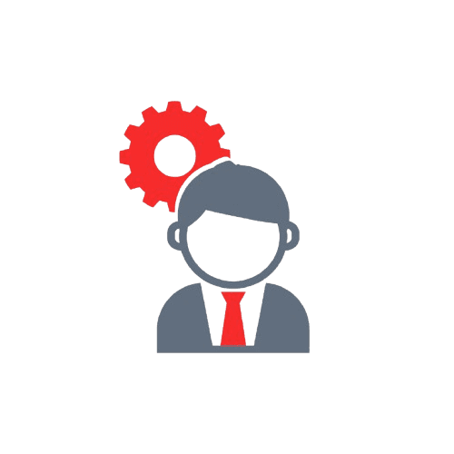 Custom Solutions icon